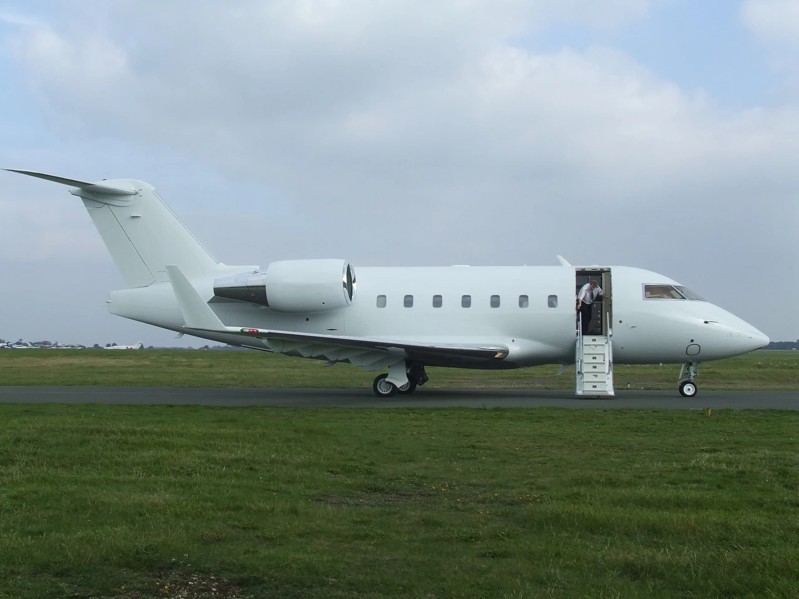A white business jet is parked on a grassy airfield with a person standing in the open main door.