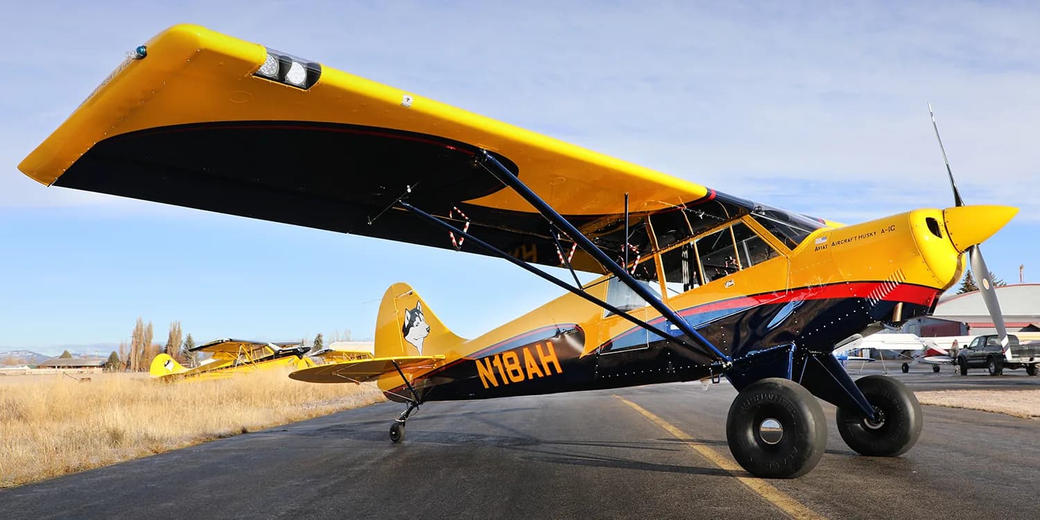 A yellow and black Aviat Aircraft Husky A-1C with a husky logo on the tail, parked on an airfield with other aircraft in the background.
