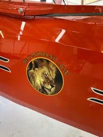 Close up of the engine of an orange biplane.