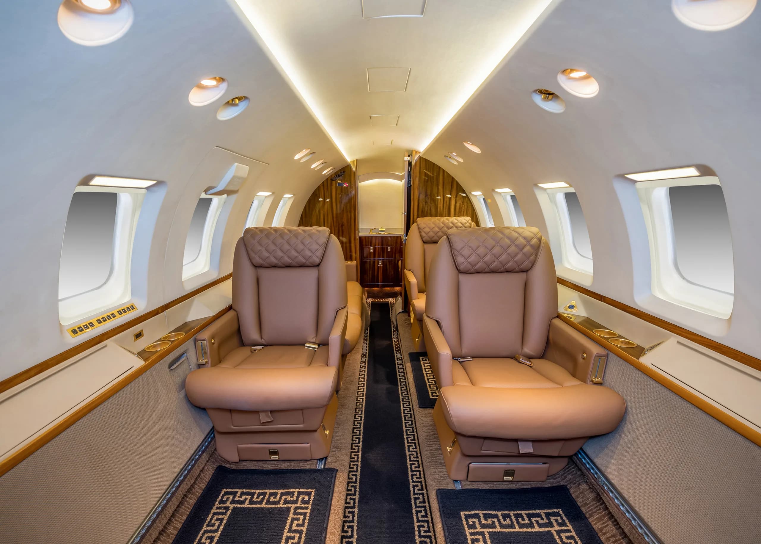 The luxurious interior of a private jet cabin with two rows of tan leather seats and a patterned aisle runner.