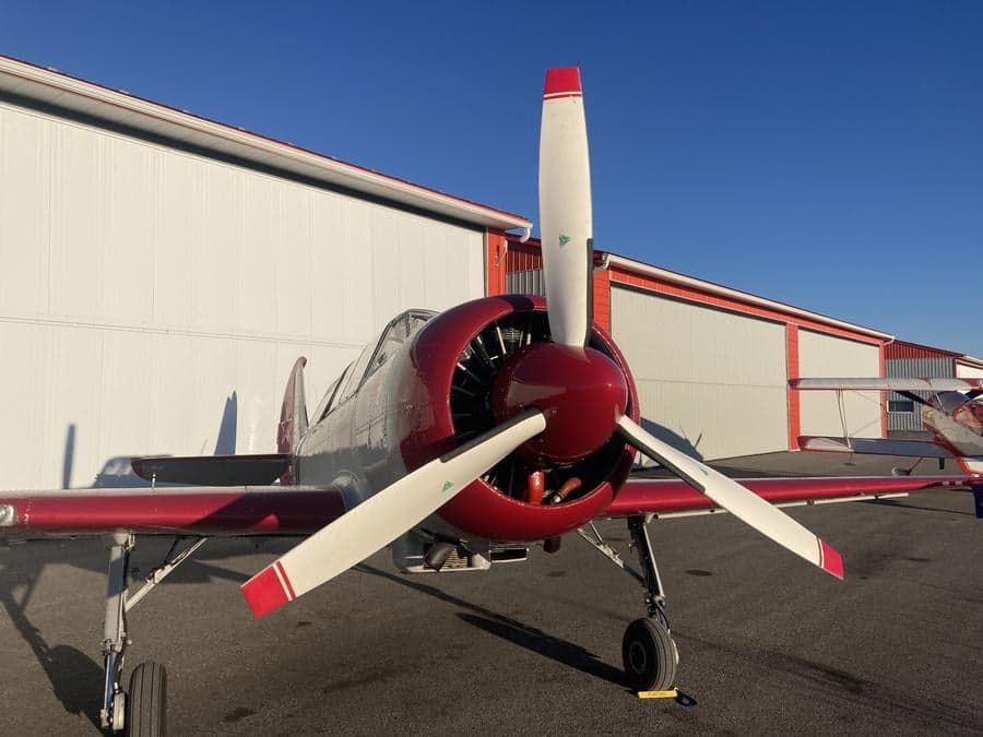 Front view of a Yak-52TW aircraft with a red propeller spinner.