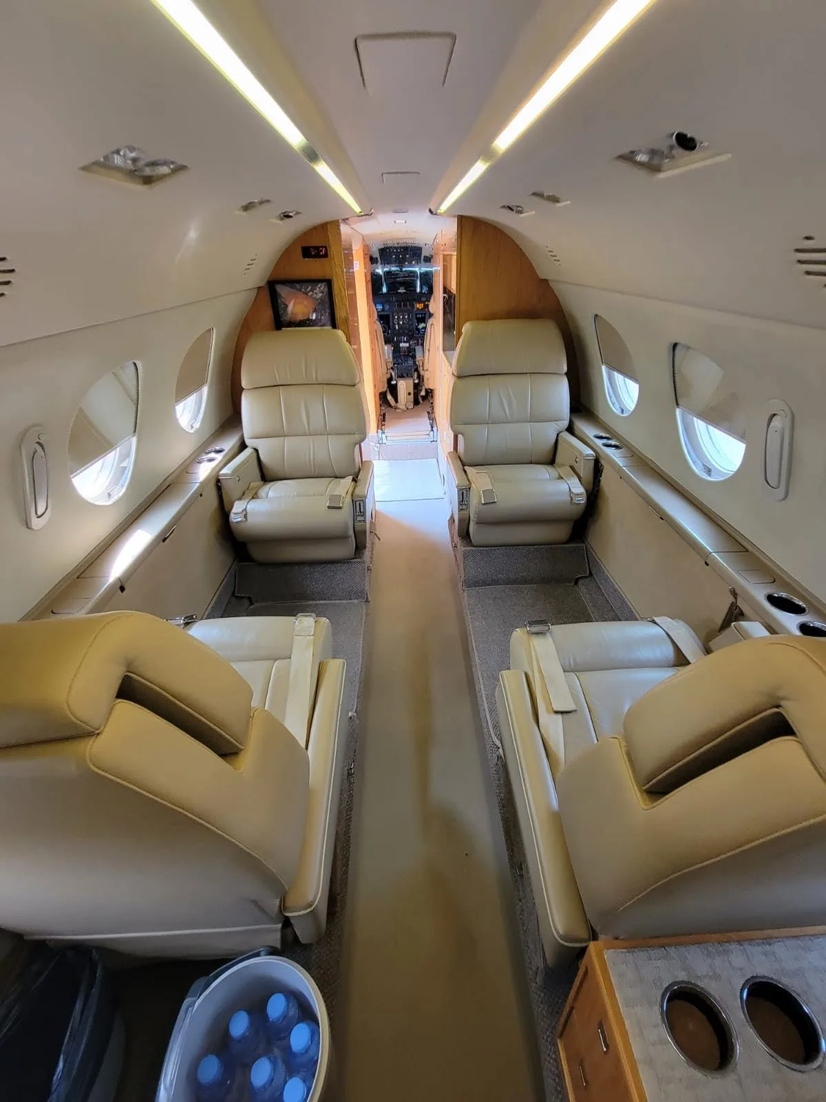 Aircraft cabin interior with beige leather seats.