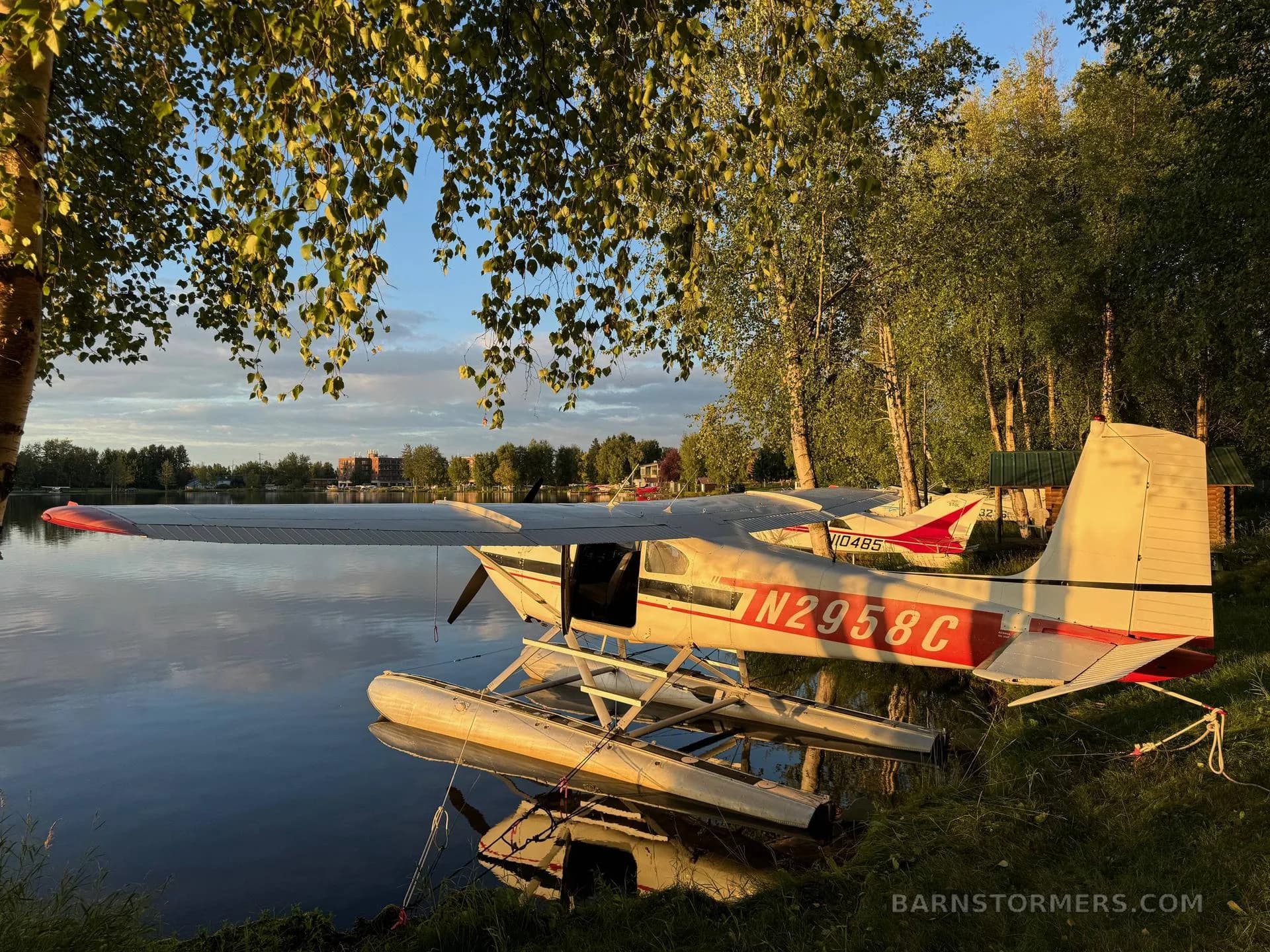 A white and red floatplane (N2958C) tied to a grassy shore at sunset, with trees overhead.