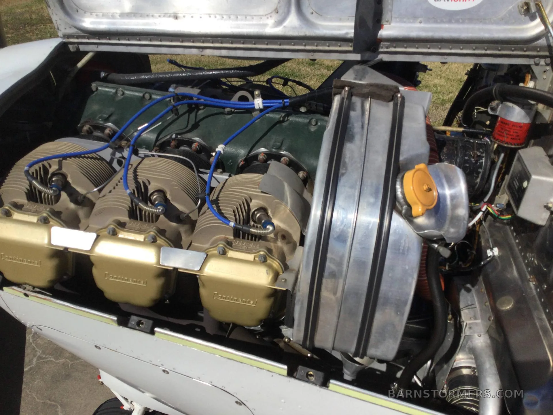 A close-up view of a Continental aircraft engine with gold valve covers, blue ignition wires, and a silver radiator, with the cowling open.