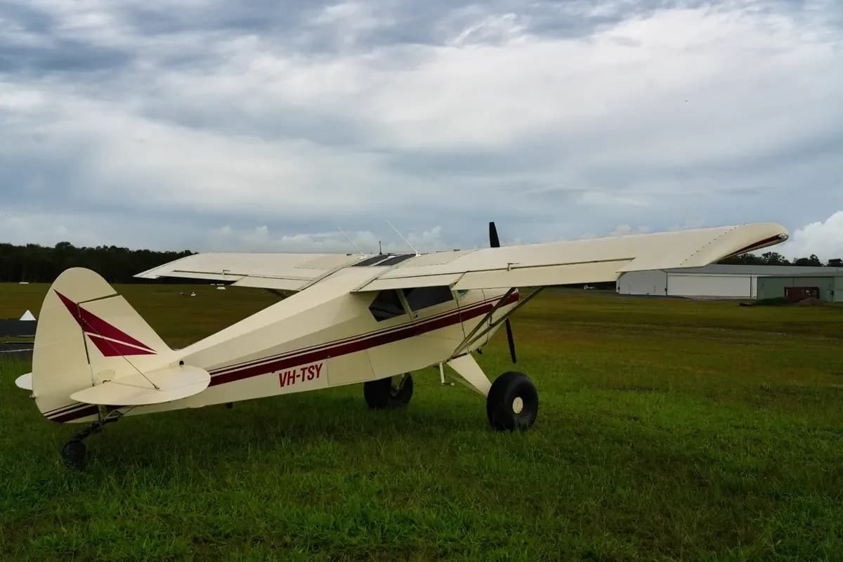A cream and maroon single-engine taildragger aircraft with registration VH-TSY parked on a grassy airfield, viewed from the rear-side.