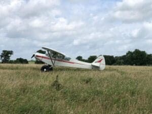 A white and red Piper Cub sits in a grassy field.