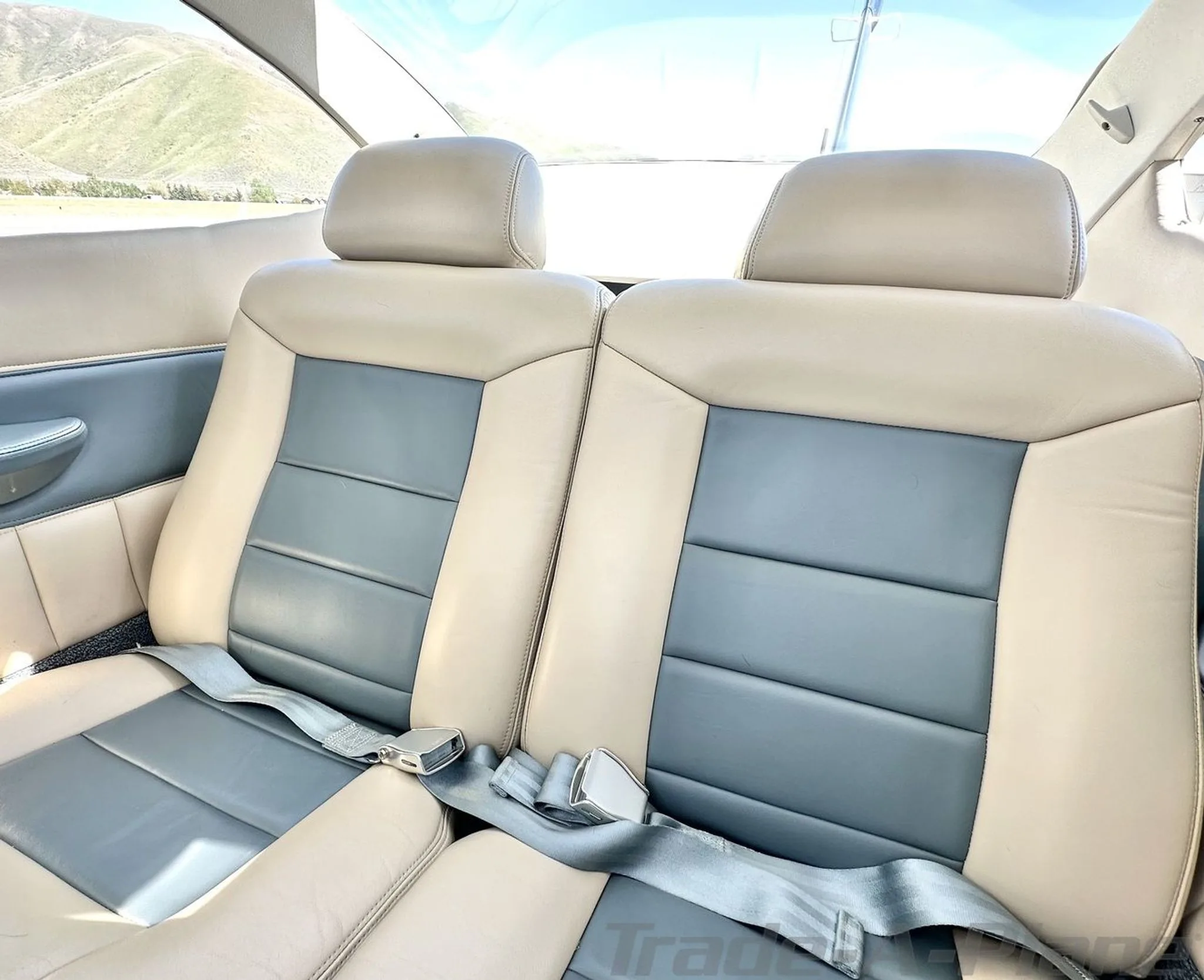 The rear cabin seats of a Cessna 182 aircraft, upholstered in beige and blue leather with seatbelts visible.