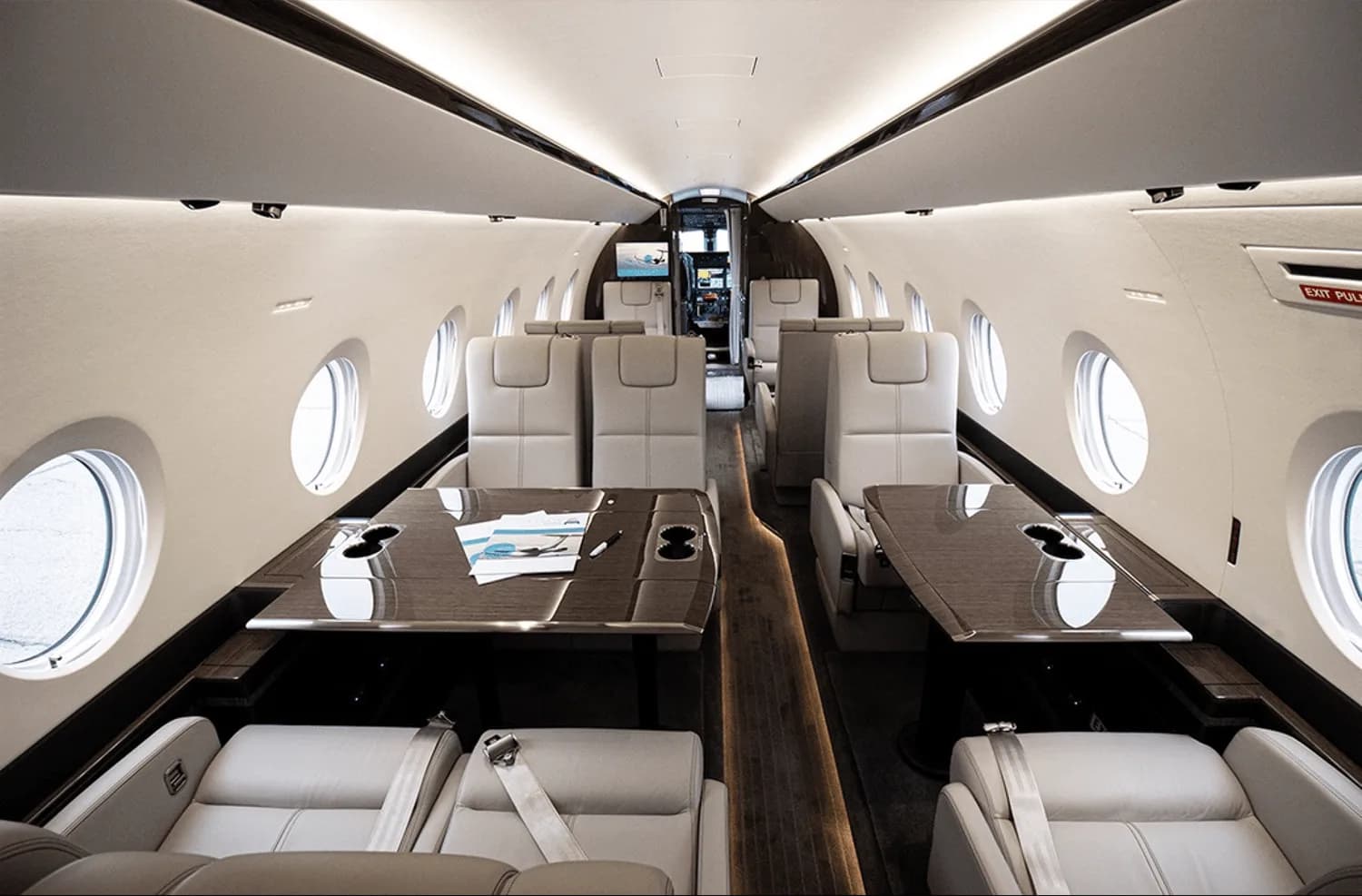 A view of the private jet cabin featuring light leather seats, fold-out tables, and large windows.