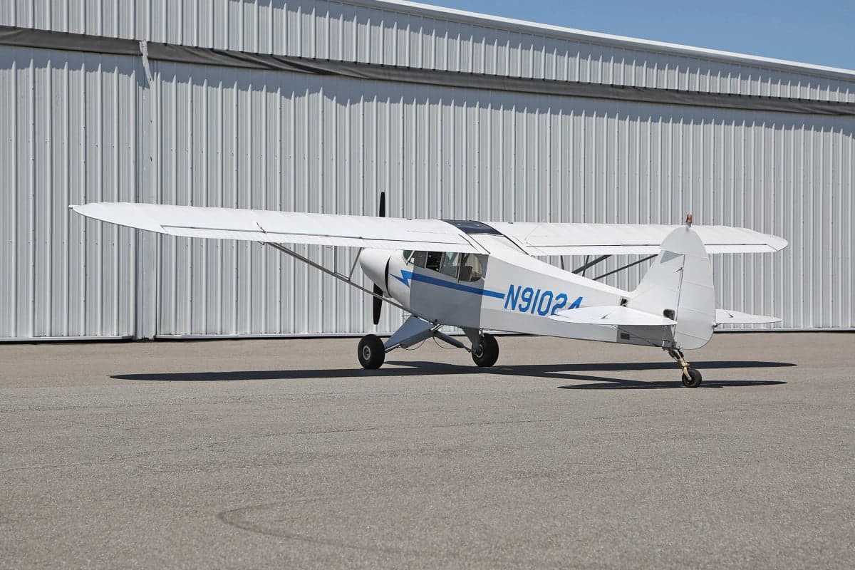 Side view of a white and blue Piper Cub in front of a hangar.