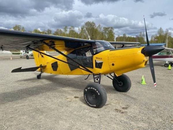 A yellow and black Maule aircraft is parked on the ground.