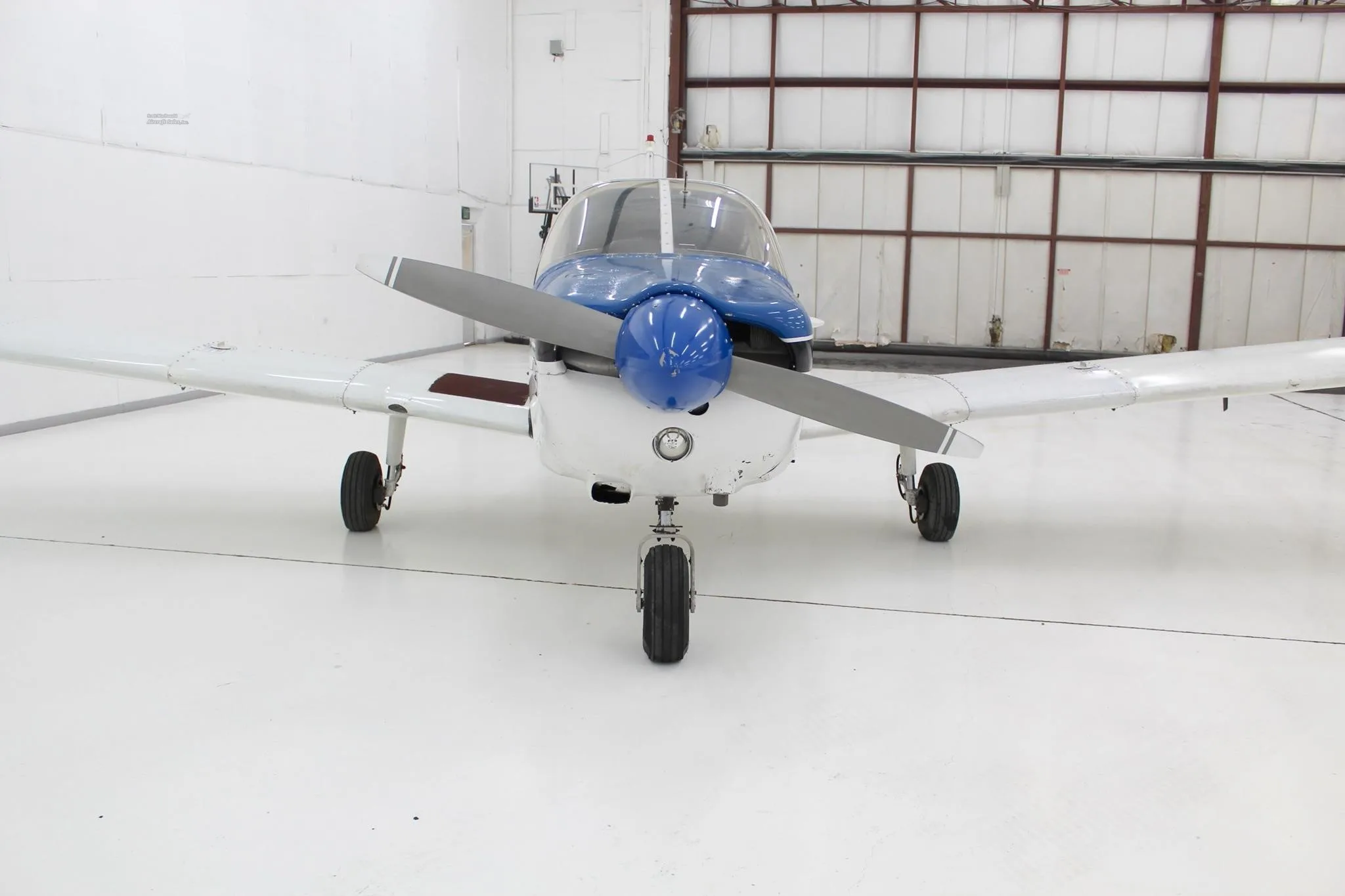 Front view of a white and blue single-engine aircraft with a propeller, inside a hangar.