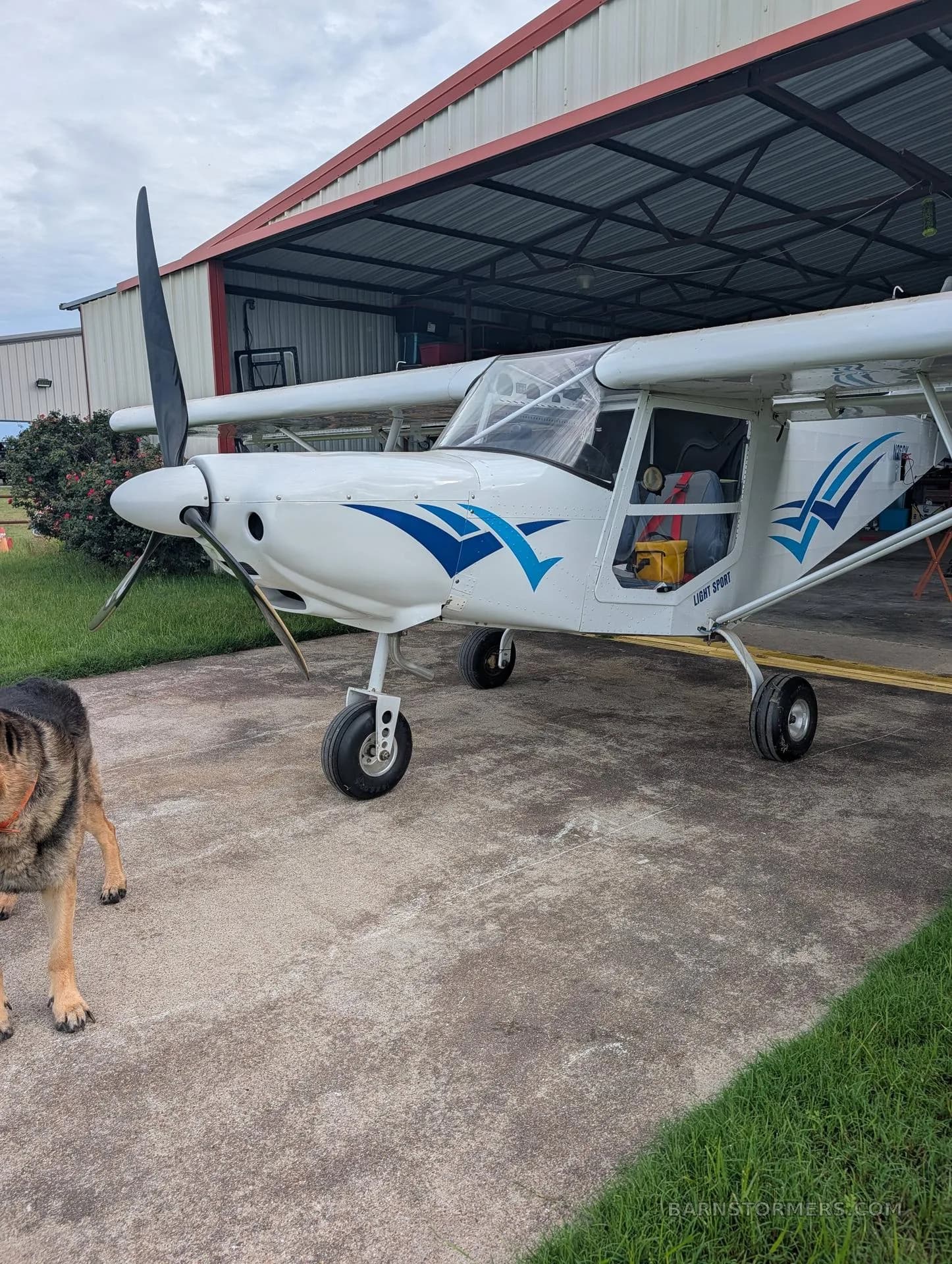 A white light sport aircraft with blue stripe decals is parked on a concrete pad outside a hangar, with a dog partially visible on the left.