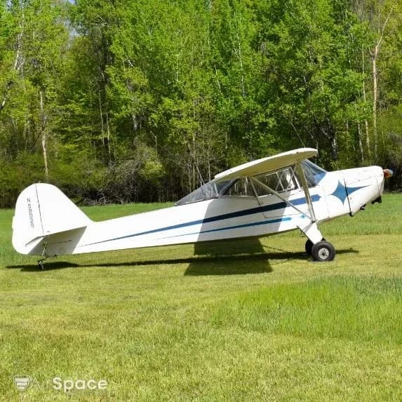 Left side view of a white single-engine high-wing aircraft with blue stripes and a blue starburst design on the nose, parked on a grassy field.