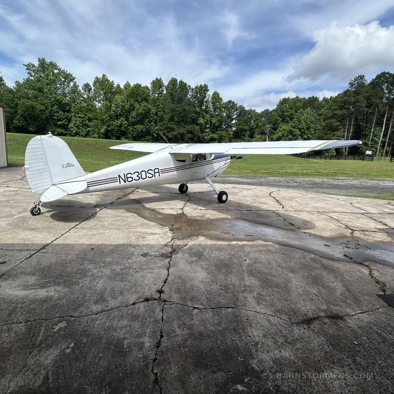 A white Cessna 170B with dark blue and gold stripes is parked on a cracked concrete pad with a grassy field and trees in the background.