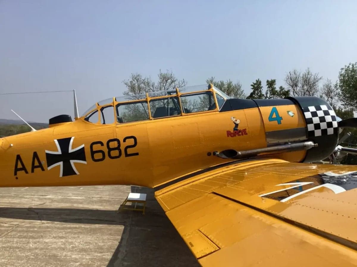 Side view of a yellow T-6 Texan aircraft with a Popeye cartoon on the fuselage.
