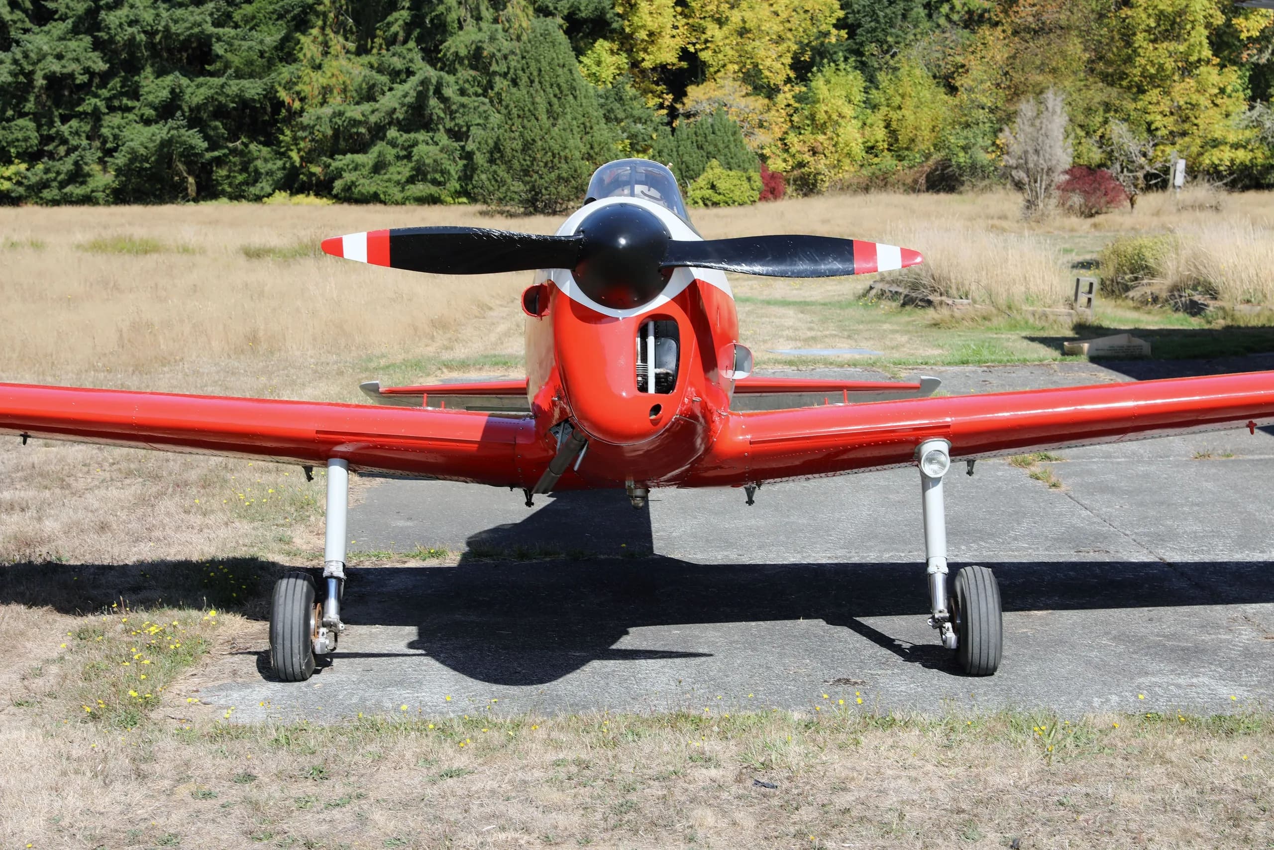 A head-on view of a red, white, and black de Havilland Canada DHC-1 Chipmunk aircraft with a propeller, parked on an airfield.