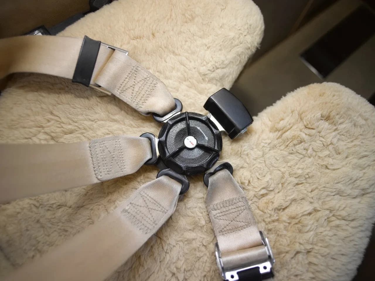 A close-up view of a five-point seatbelt buckle on a sheepskin-covered aircraft seat.
