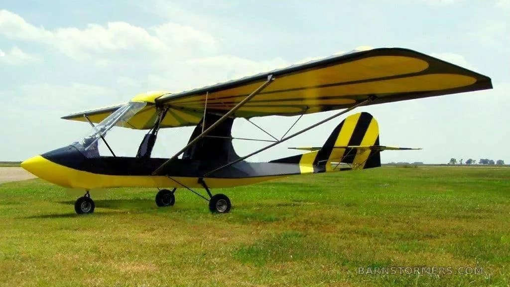 A yellow and black ultralight aircraft with striped tail, parked on a grassy field next to a runway.
