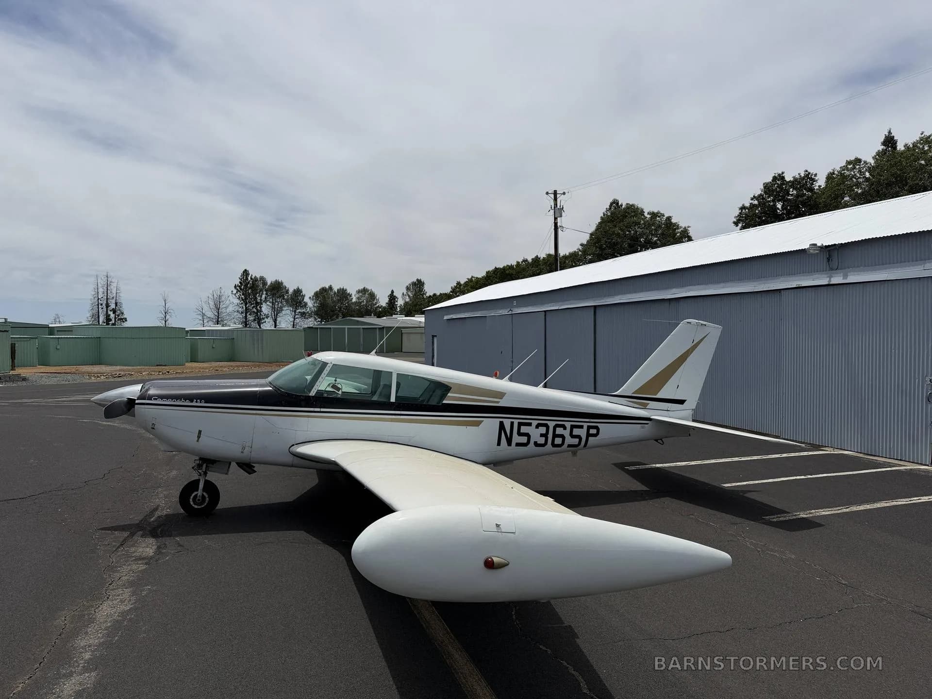 A side view of a white and black single-engine propeller aircraft with gold stripes, registration N5365P, parked on an asphalt ramp.