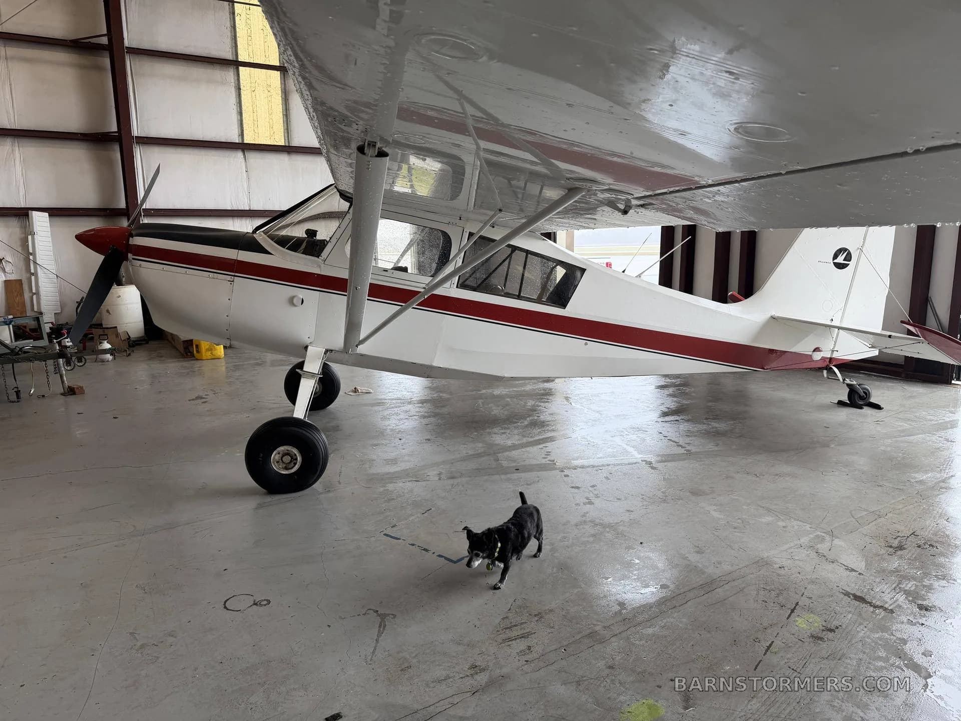 A white and red high-wing single-engine aircraft with a propeller, parked in a hangar, with a small black dog in the foreground.