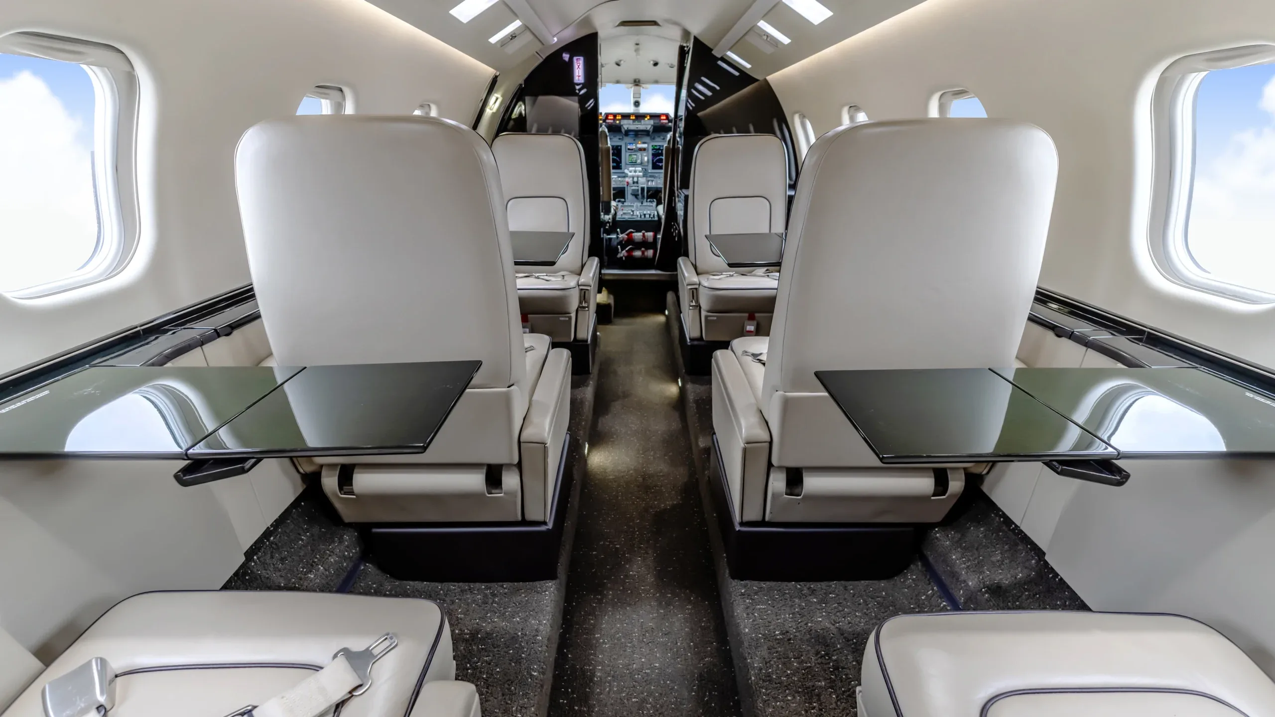 View of the aircraft interior with leather seats and tables.