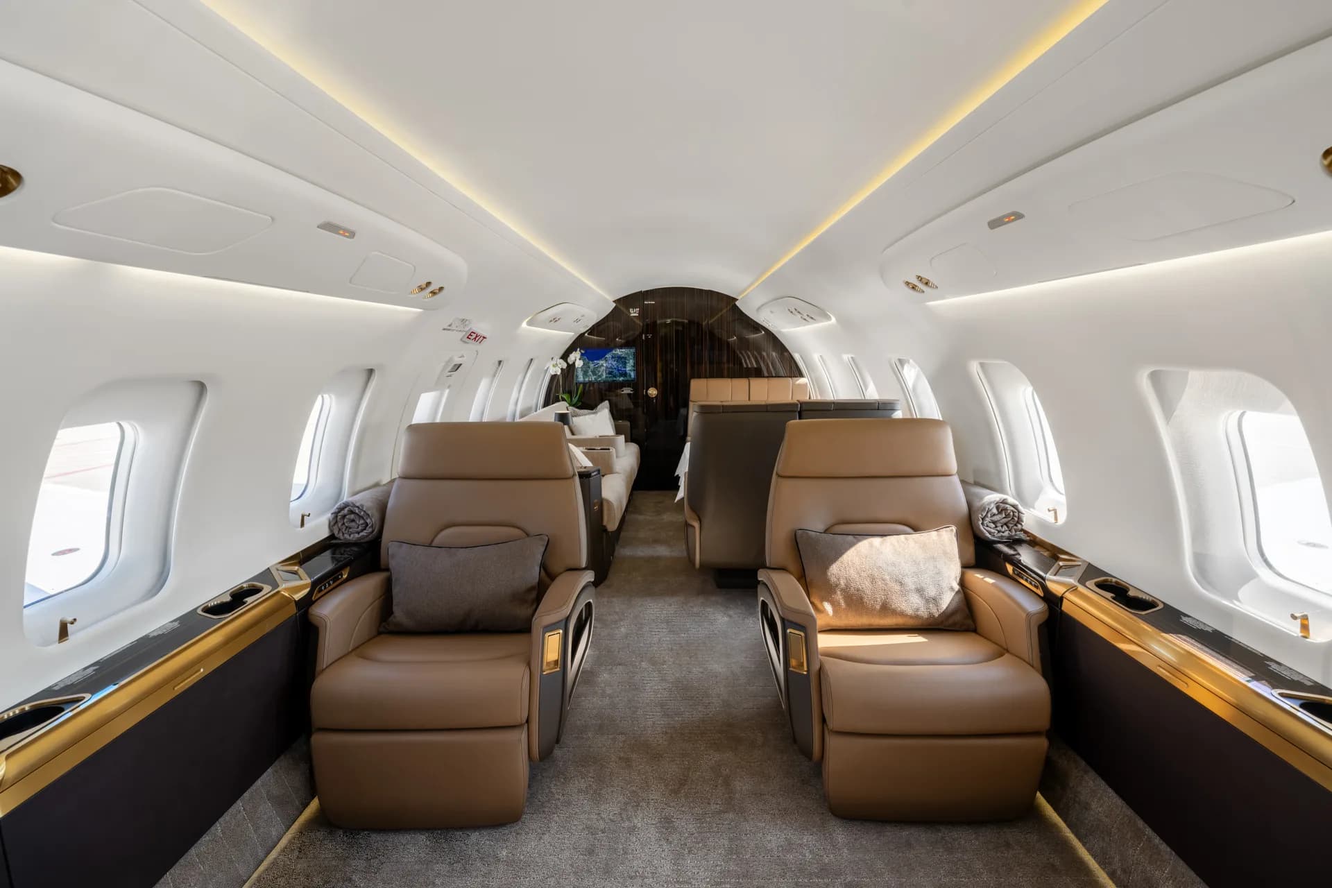 A wide shot of the aircraft cabin interior, showing two brown leather seats in the foreground and a lounge area further back.