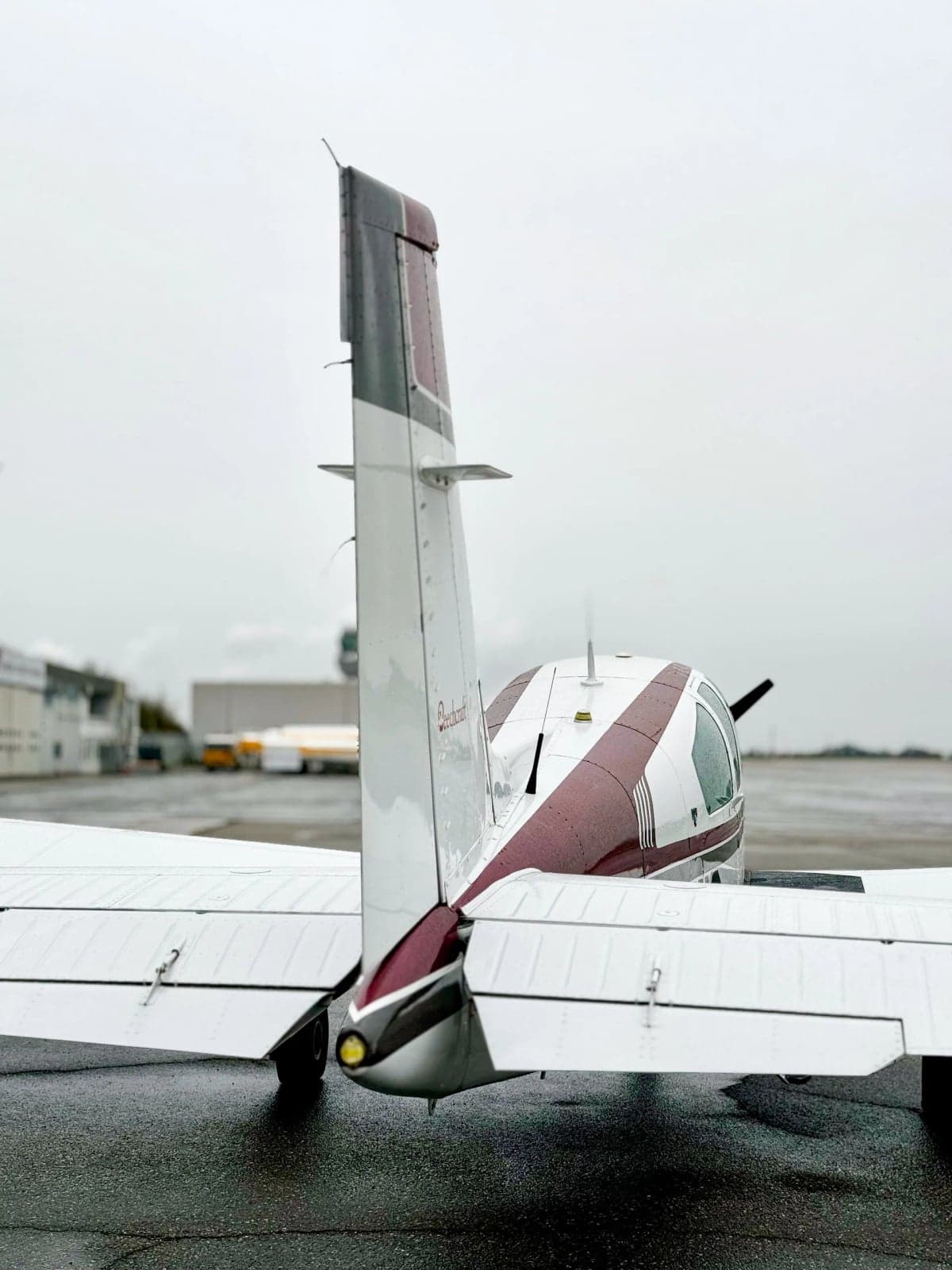 Rear view of N100WS Bonanza aircraft parked on the tarmac.