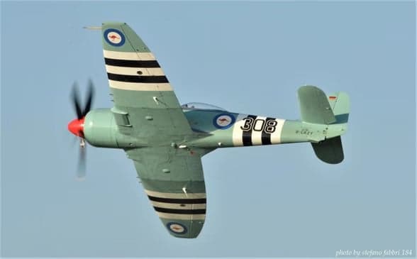 Hawker Sea Fury parked on the grass with wings folded and a crowd of people in front.
