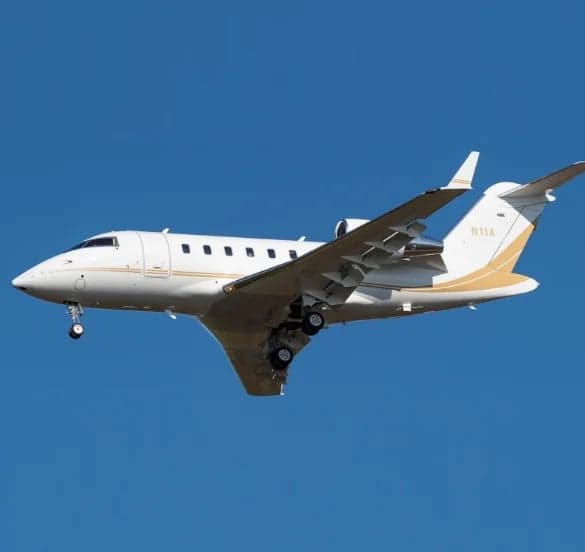 Aircraft N11A in flight with a white and gold paint scheme.