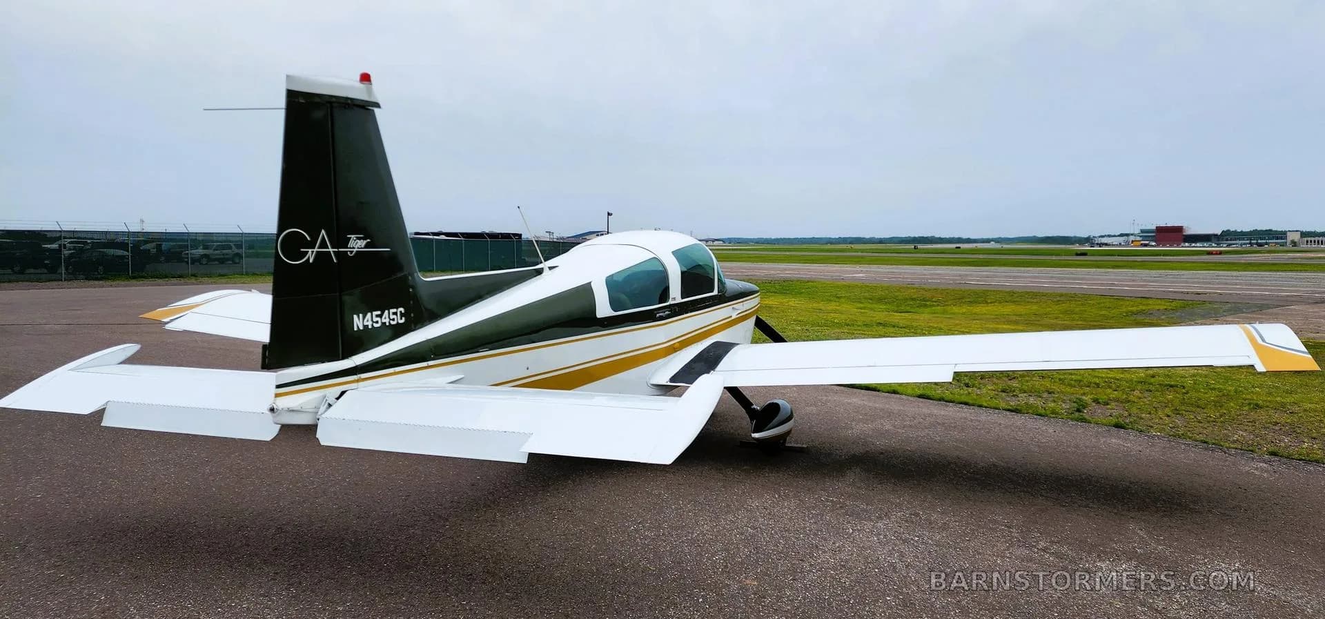 A rear-side view of a white and dark green Grumman Tiger aircraft with gold stripes, parked on an asphalt ramp with a runway in the background.