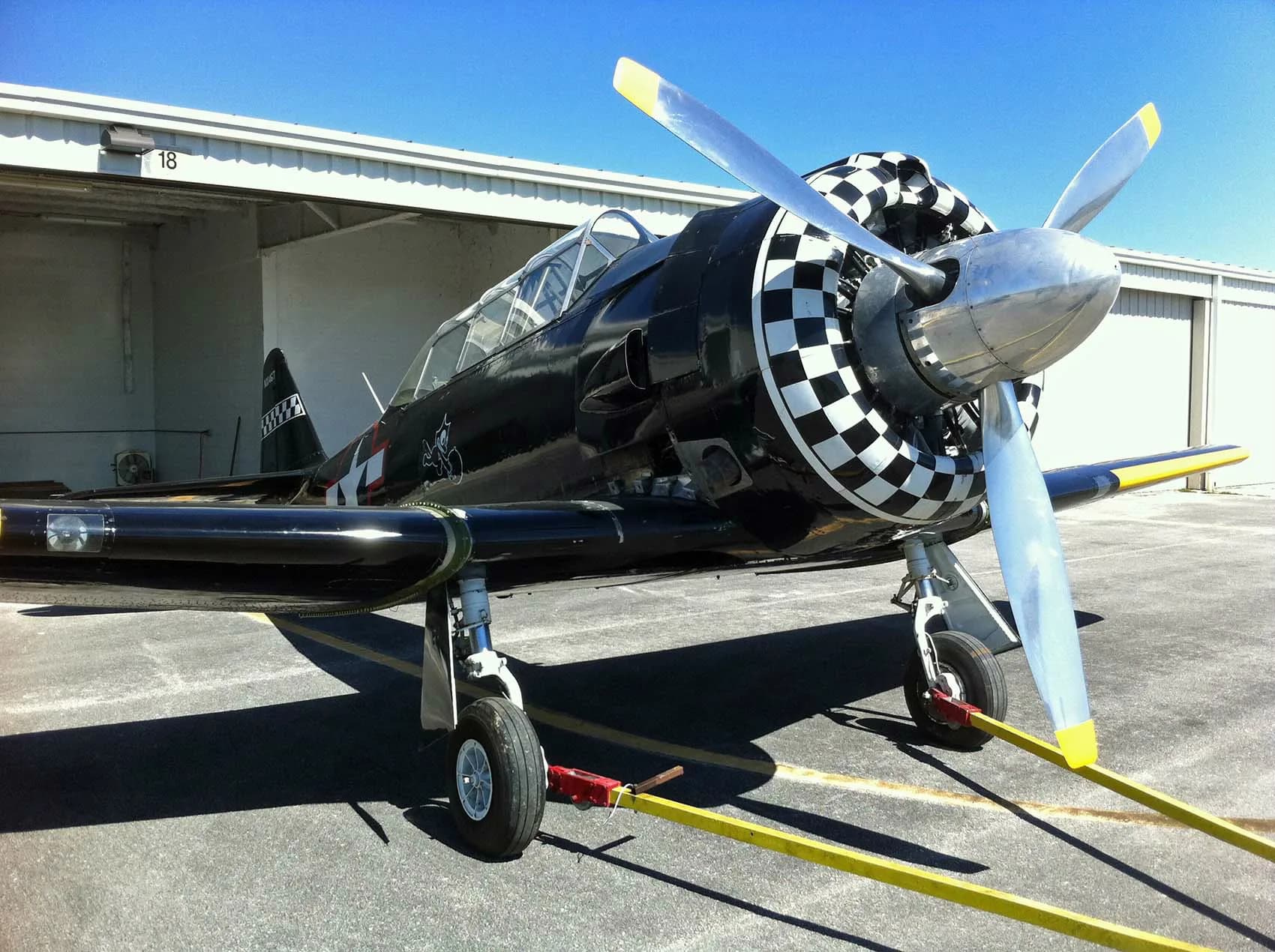 A black warbird aircraft with a checkered nose and yellow wing stripes, tied down on an airfield.