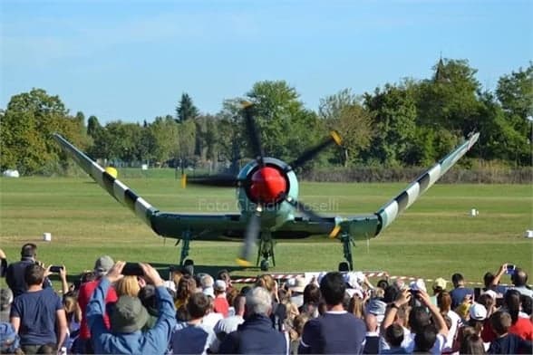 Close up of a Hawker Sea Fury with a kangaroo logo.