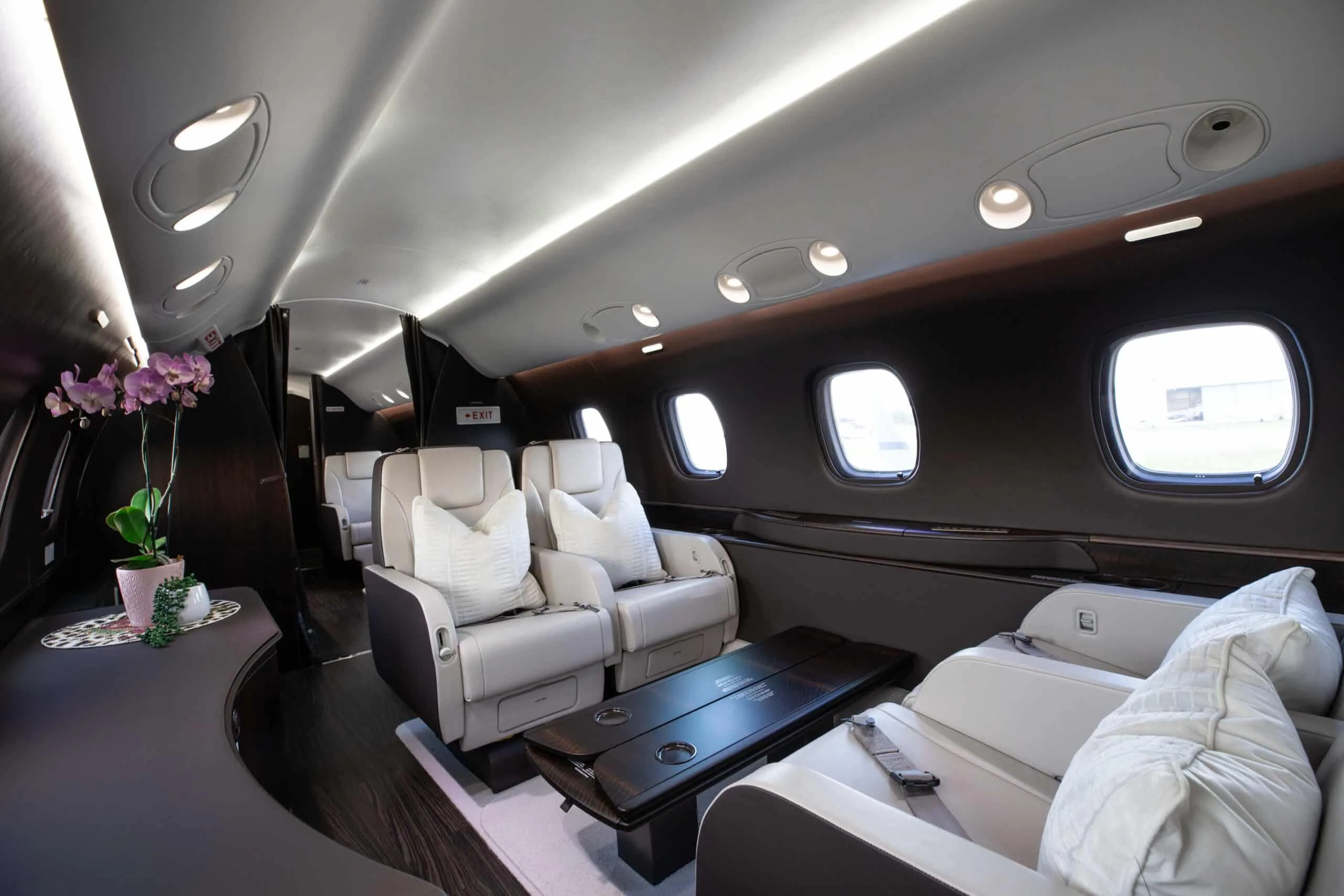 A comfortable lounge area in the aircraft's cabin, featuring a sofa, individual seats, and a decorative orchid.