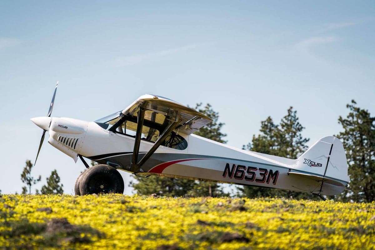 An XCub aircraft is parked in a field of yellow flowers.