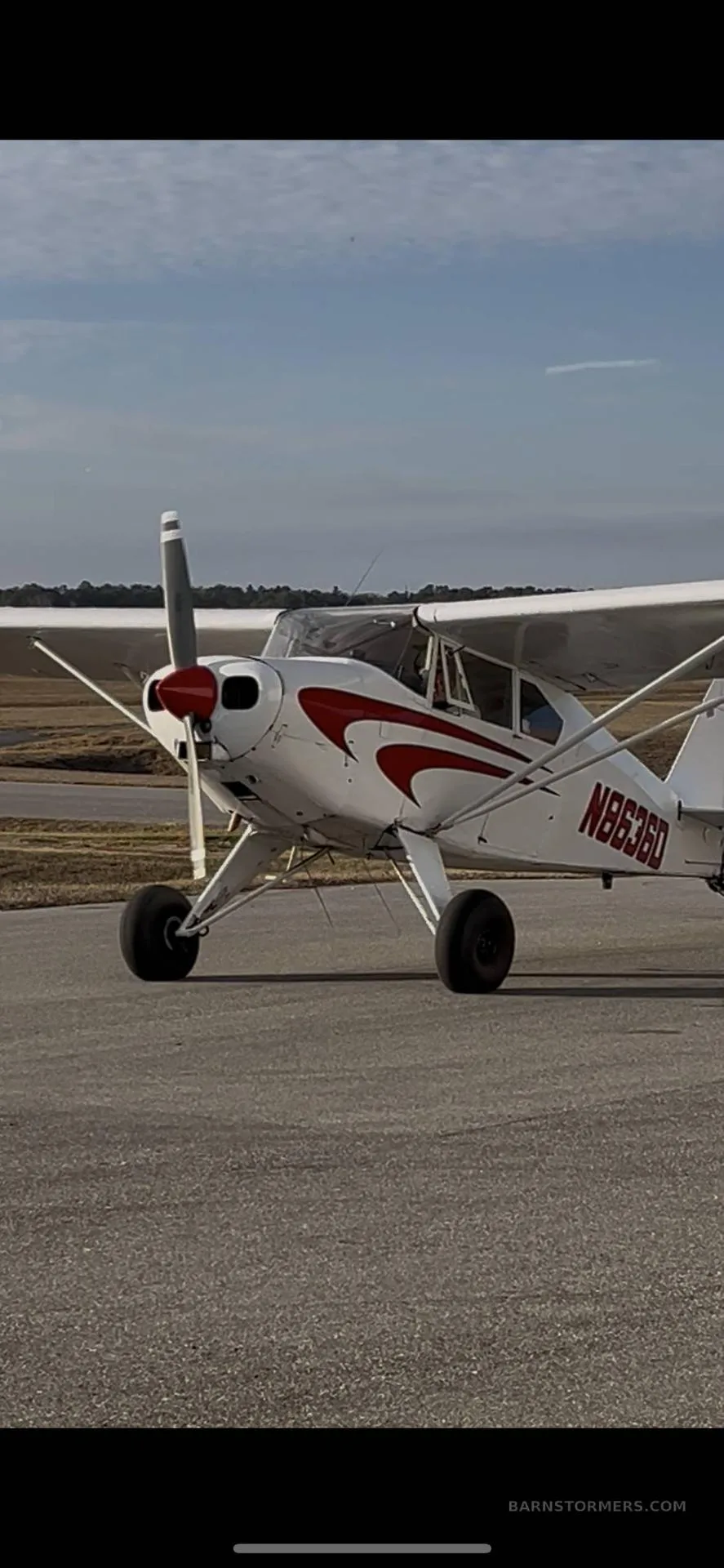 A white single-engine aircraft with red stripes and registration N8636D on the tarmac.