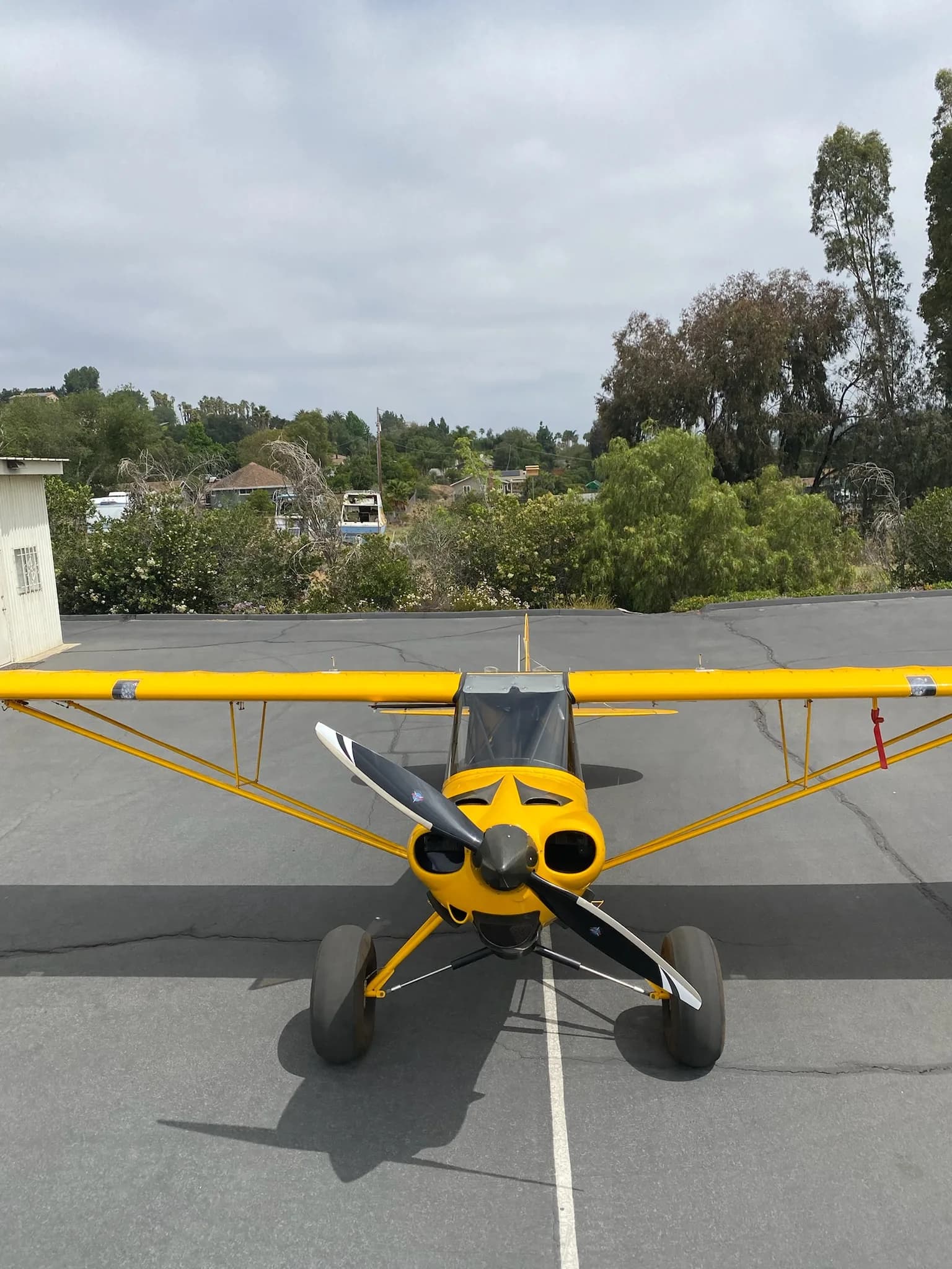 Front view of a yellow Carbon Cub aircraft on the tarmac.