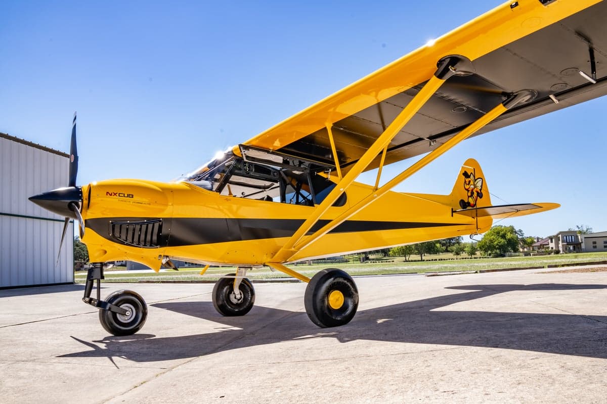 Side view of the yellow and black NX Cub aircraft with a cartoon bee on the tail.