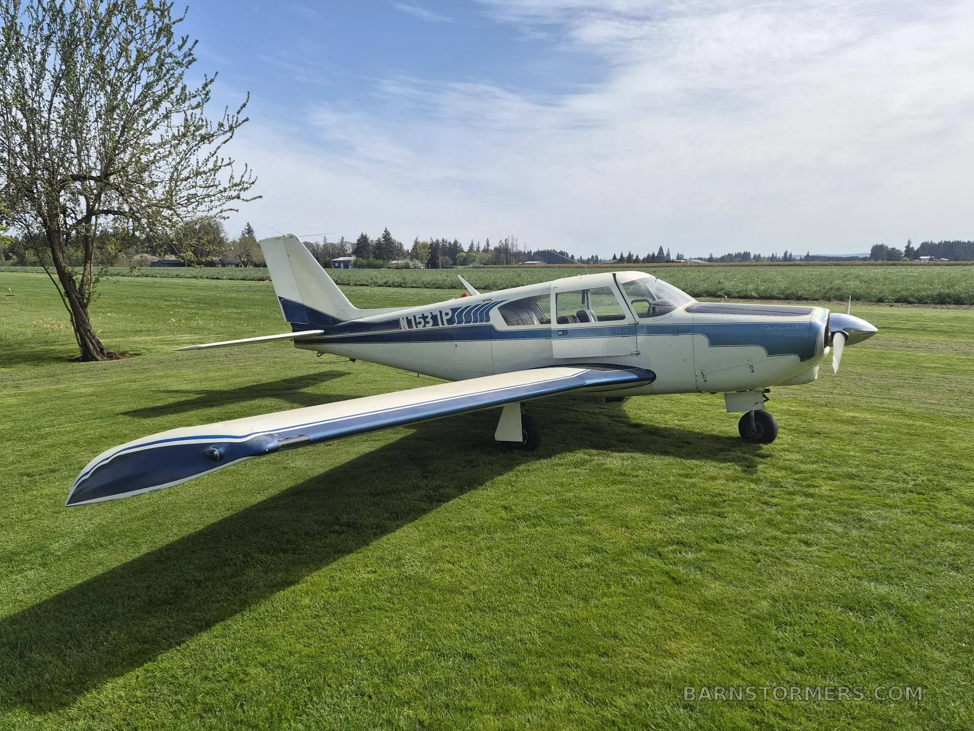 A white and blue single-engine propeller aircraft with tail number N1531P parked on a green grassy field.
