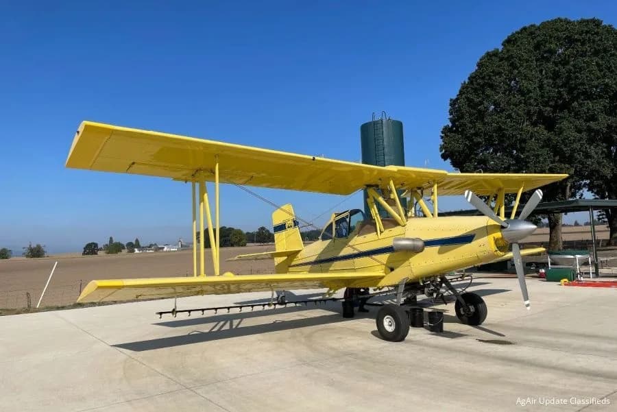 A yellow biplane sits on the tarmac in front of a field and trees.