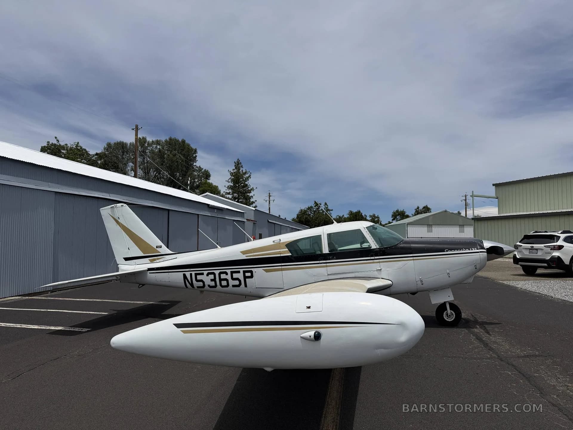 A white and black single-engine propeller aircraft with gold stripes, registration N5365P, parked on an asphalt ramp next to hangars.