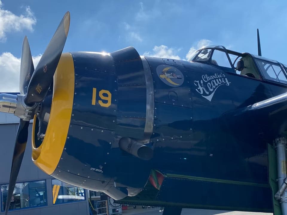 Grumman TBF Avenger parked on the tarmac with folded wing.