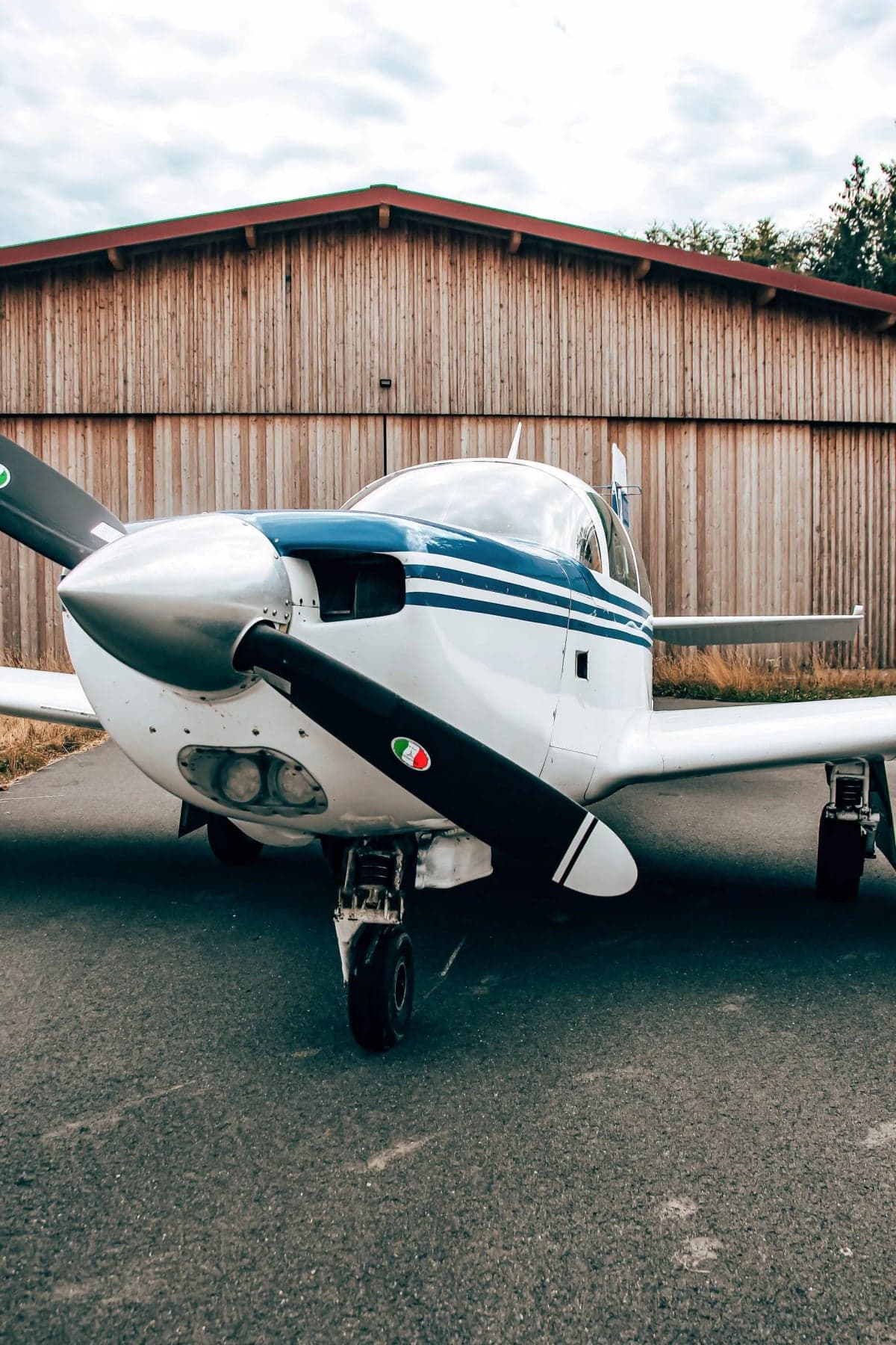 N310FW parked on a runway with grass in the foreground.