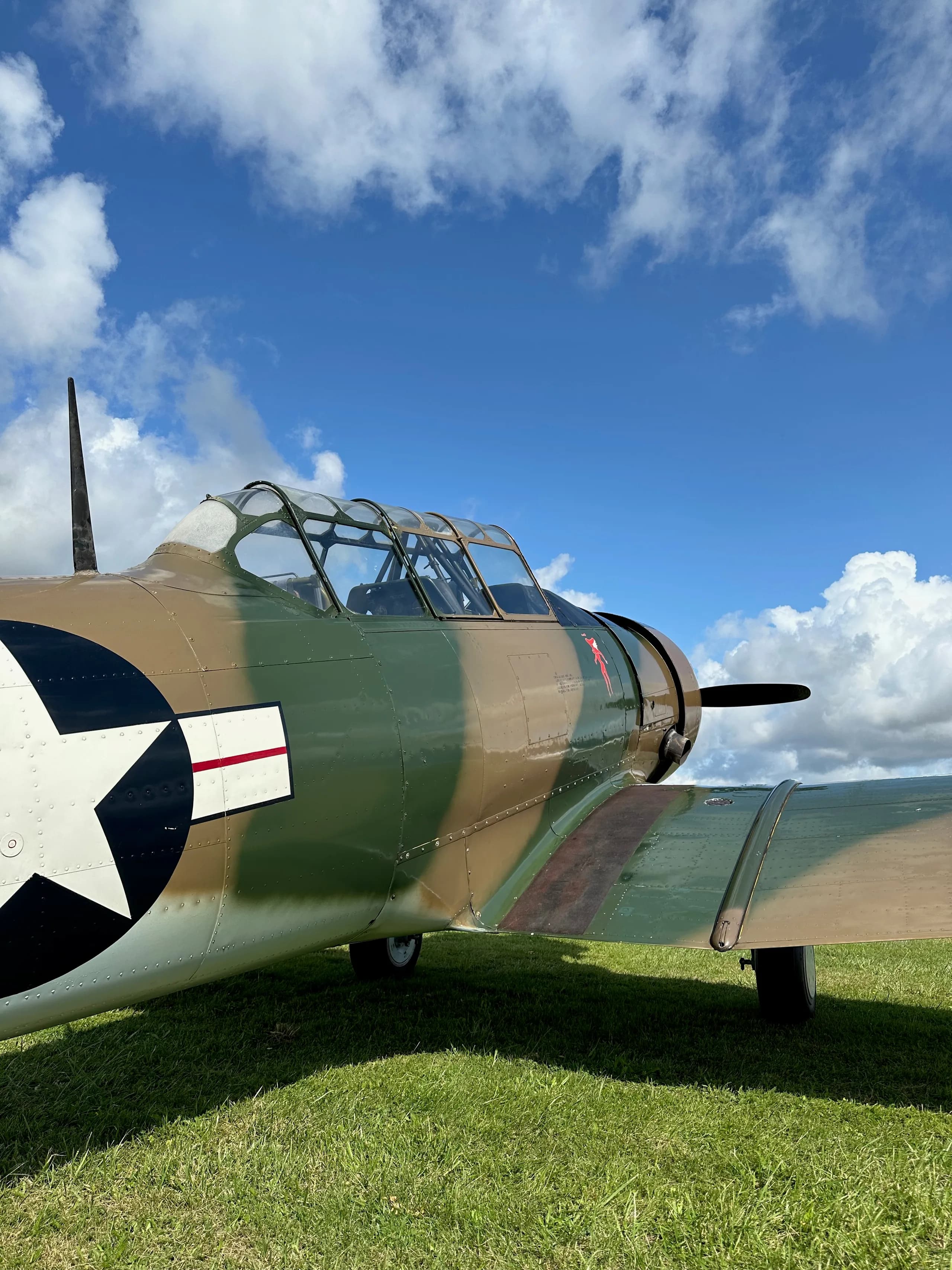 A close-up side view of the cockpit and fuselage of a camouflage-painted North American T-6 Texan, F-AZAU, on a sunny day.