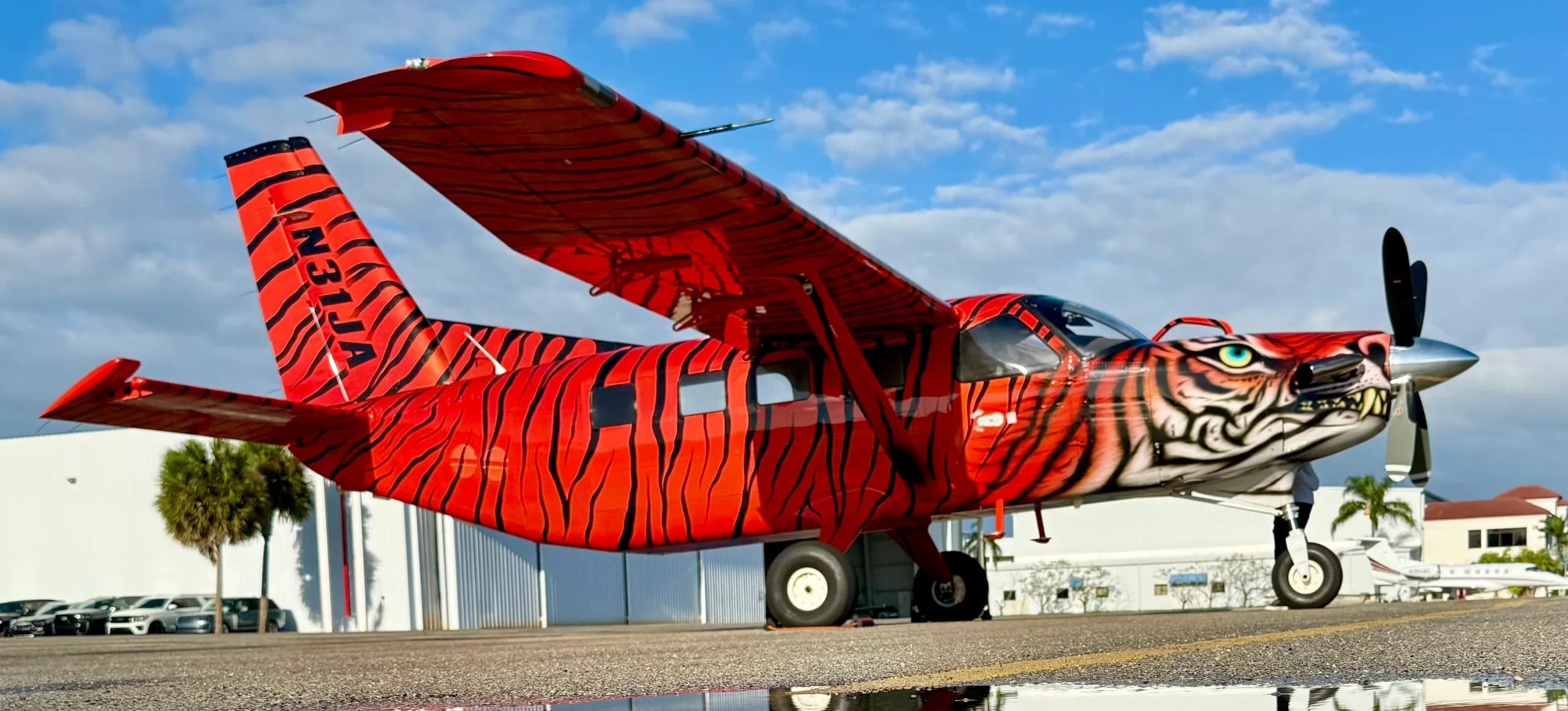 A Quest Kodiak 100 with a custom tiger paint scheme.