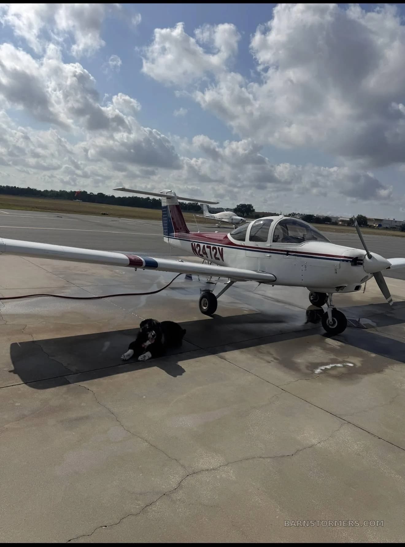 A white single-engine aircraft with red and blue stripes (N2472V) is parked on an asphalt ramp with a black and white dog lying next to it, under a partly cloudy sky.