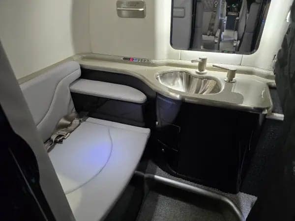 The interior of the aircraft features gray leather seats and tables.