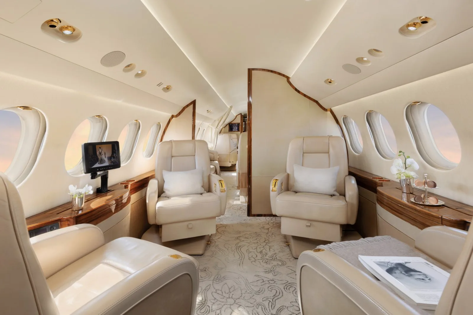 Interior of the aircraft with leather seats, wooden accents, and a television screen.