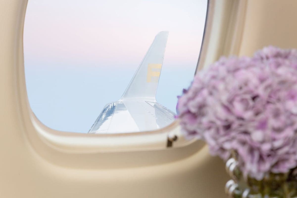 View of the tail fin through the cabin window with flowers in the foreground.
