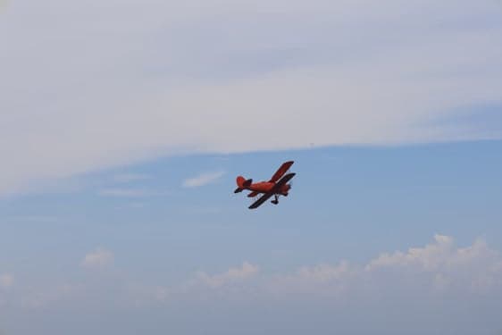 The side of an orange biplane with a lion logo.