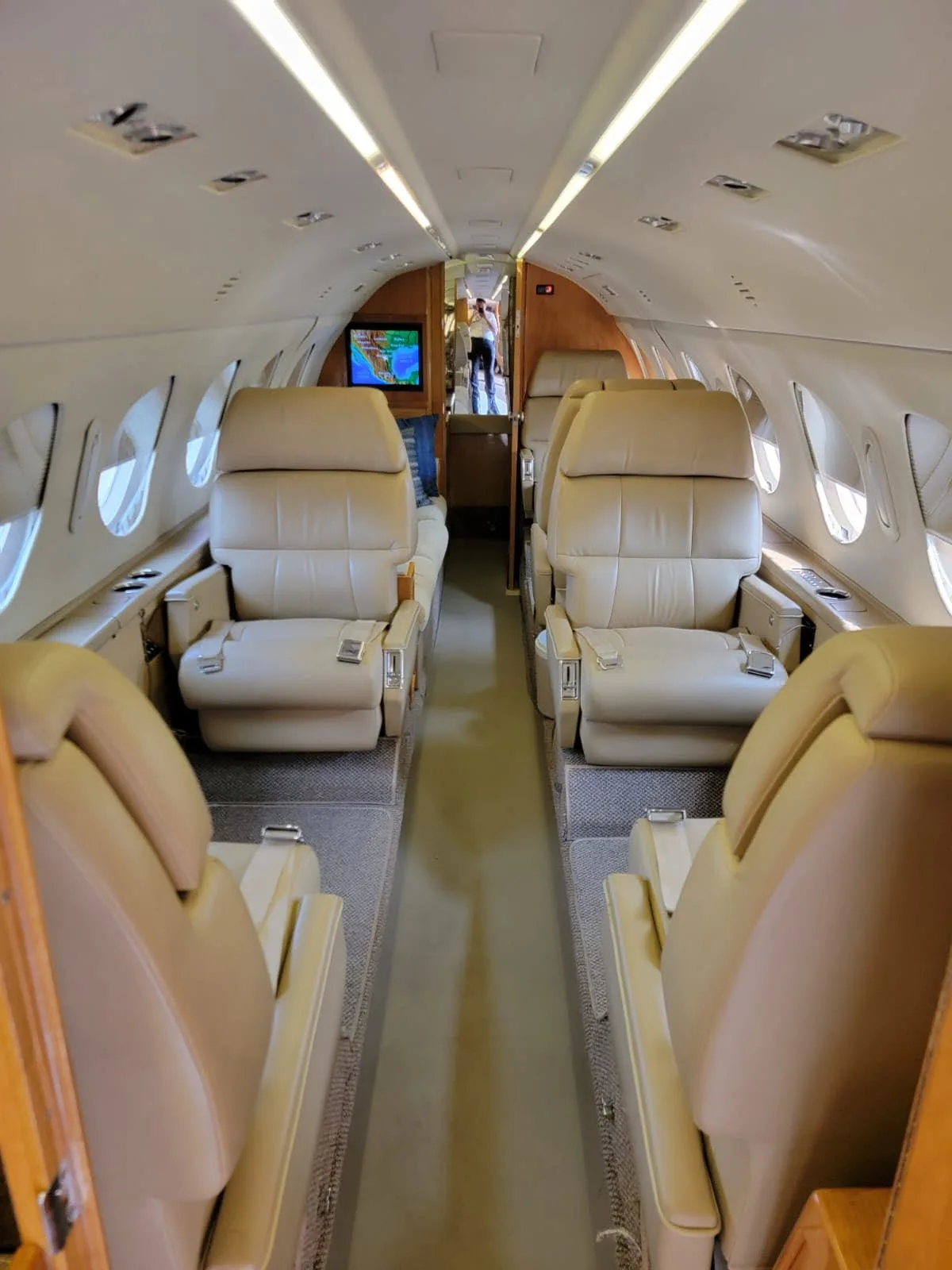 Aircraft cabin interior with beige leather seats.